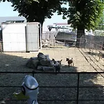 Ξενοδοχείο Corrado